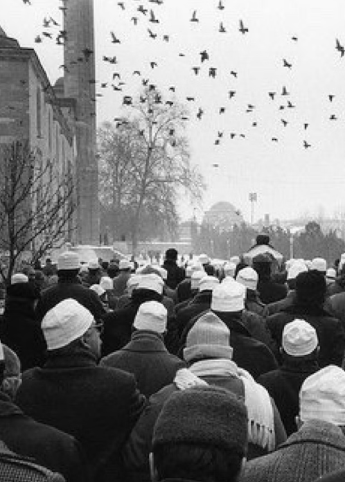 Black-and-white photograph of a crowd of worshippers in white caps walking to a janazah outside a mosque, birds overhead